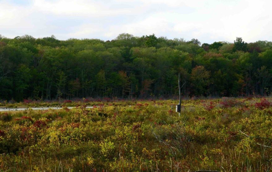 Richard Haley Wildlife Gardens, United States